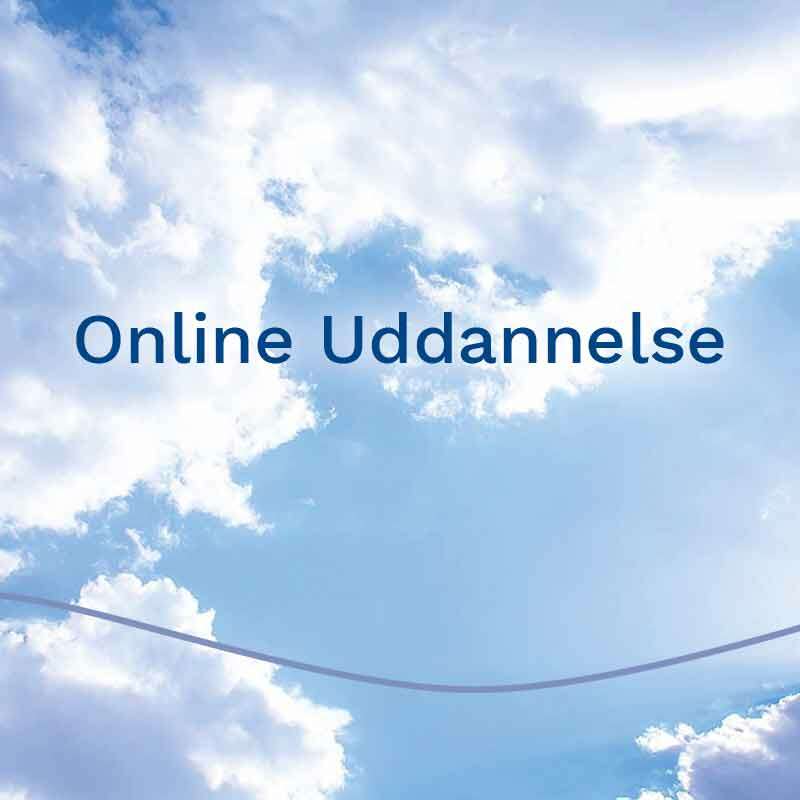 Online Uddannelse